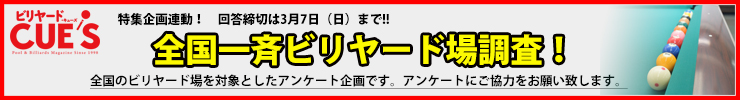 ビリヤード場アンケート（スーパー）