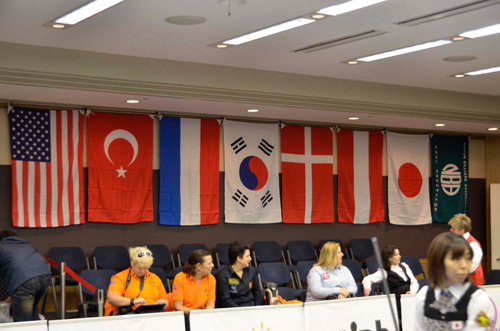 wl3c_22flag.jpg