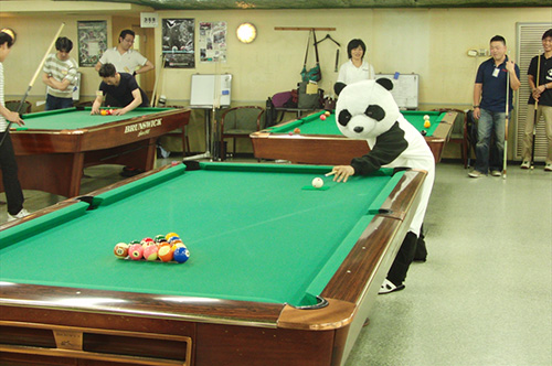 zac_panda.jpg