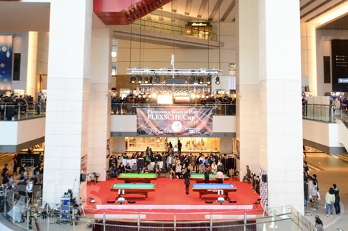 felxche1_hall_th.jpg